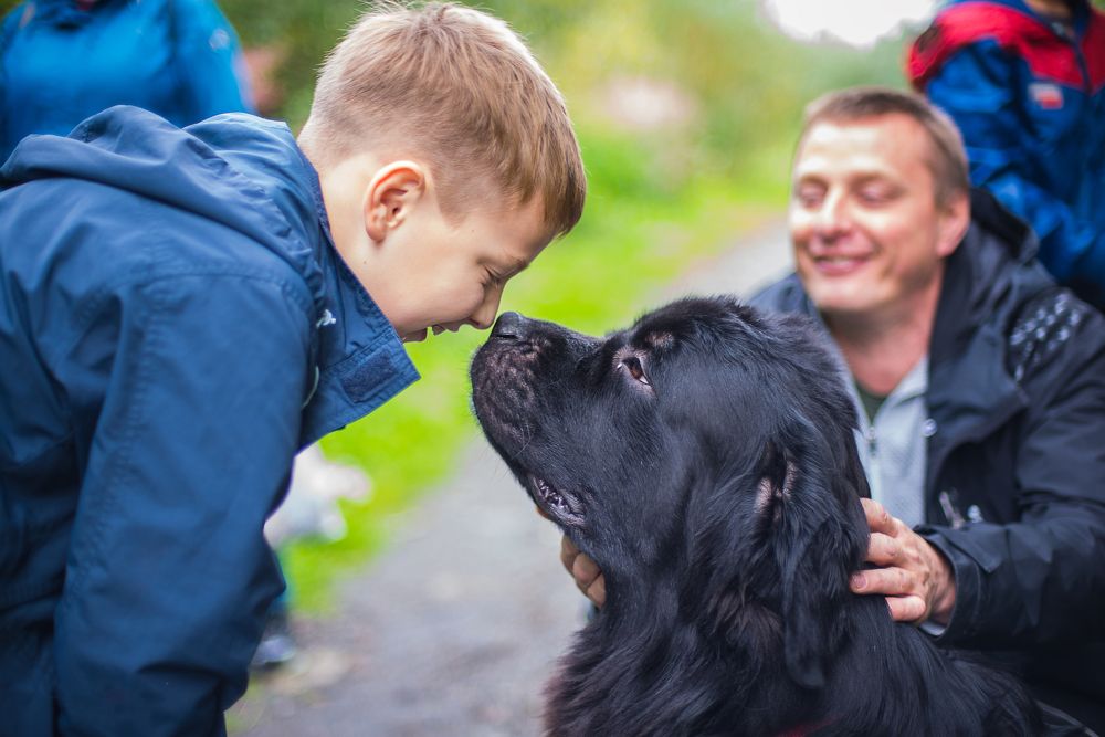 Малыш и пес