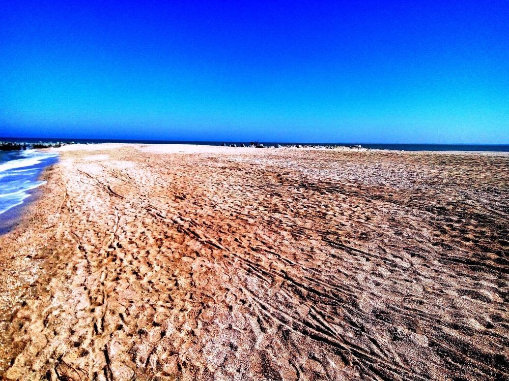 Earth remembers all traces