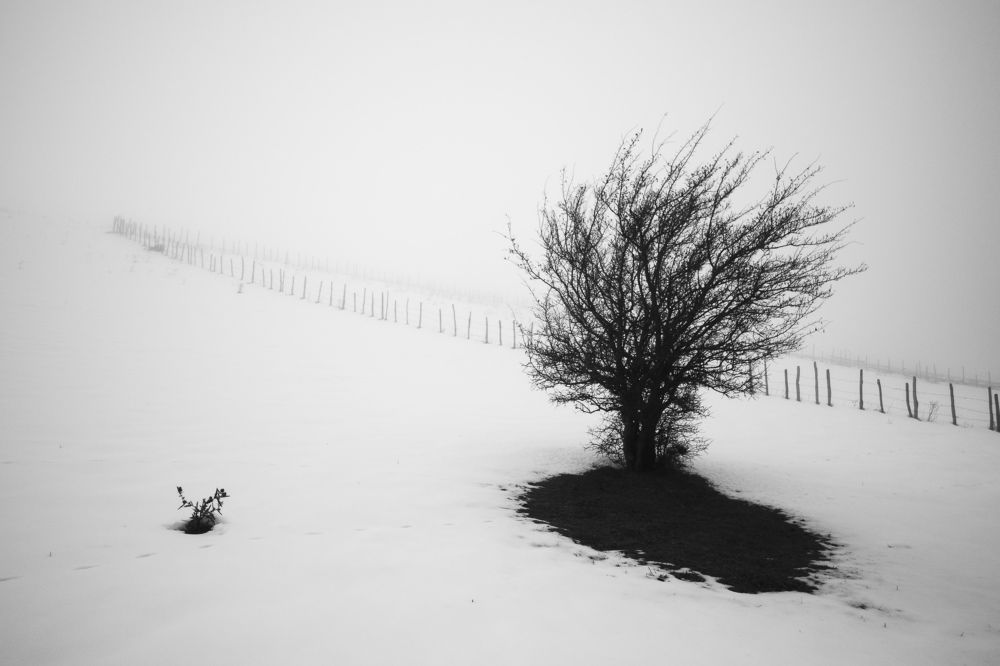 Getting lonely, getting old