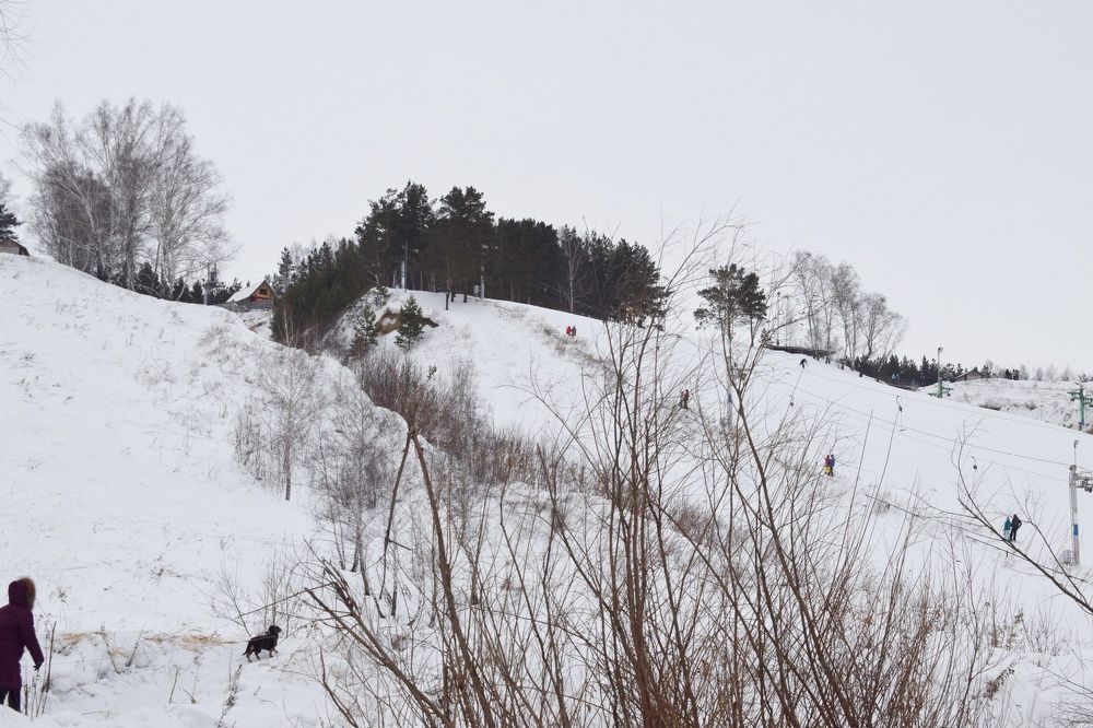 Зимняя прогулка