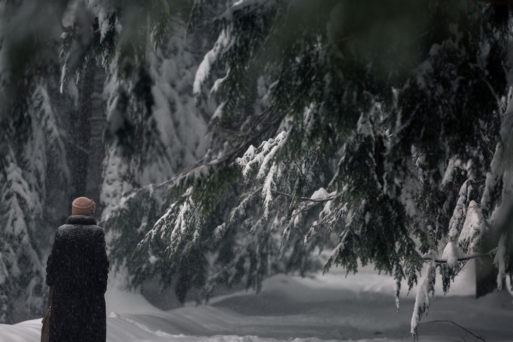 Снегопад в ботаническом саду