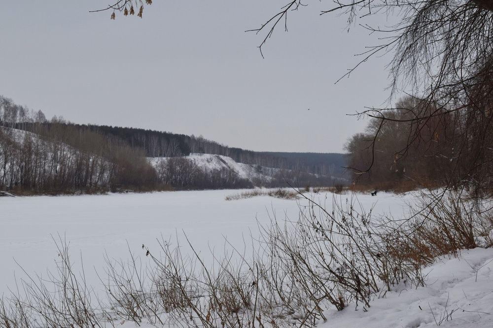 Природа Сибири