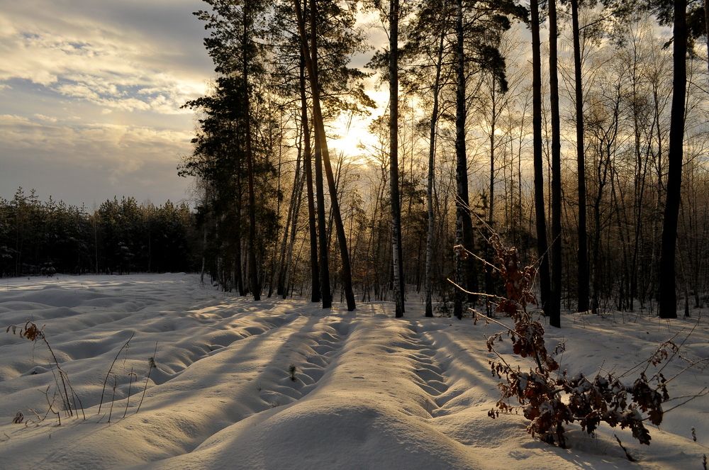 Зимнее утро.