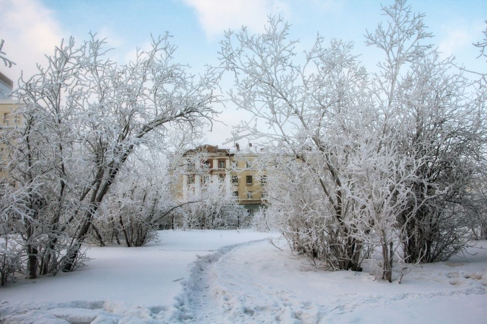 Photograph by Антон Кривошейцев