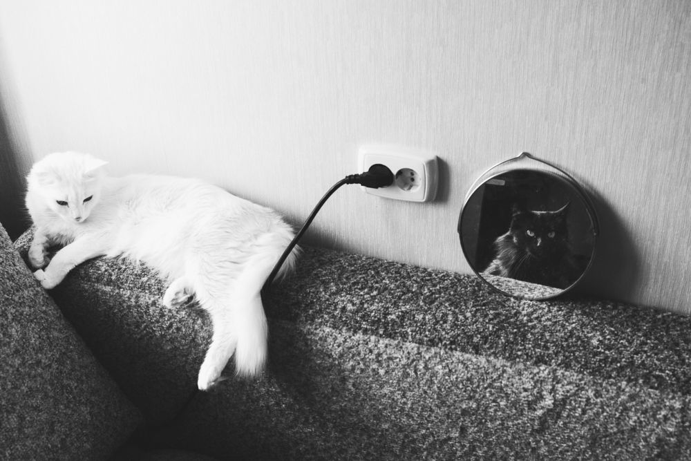 Photograph by Артем Мишенин