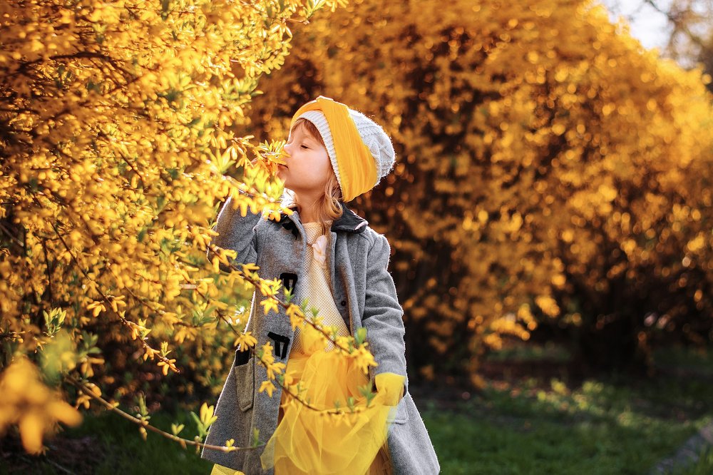 Photograph by Ольга Мищенко