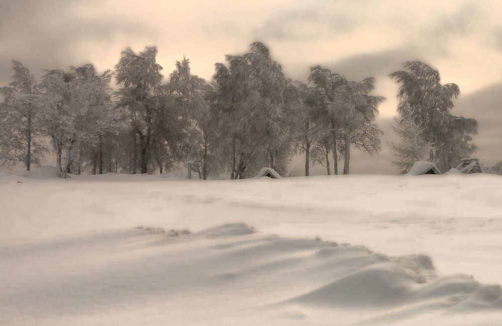 Вьюга мглою...