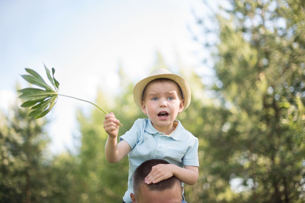 Разногласие