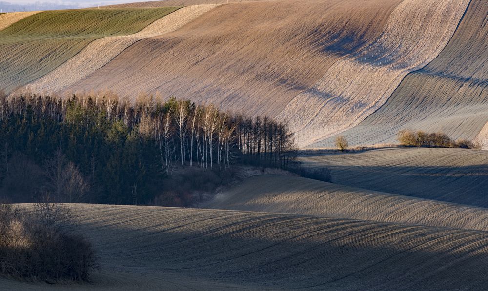 Велюр Моравии