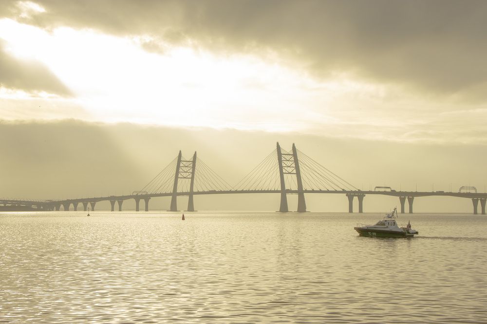 Вечерний дозор