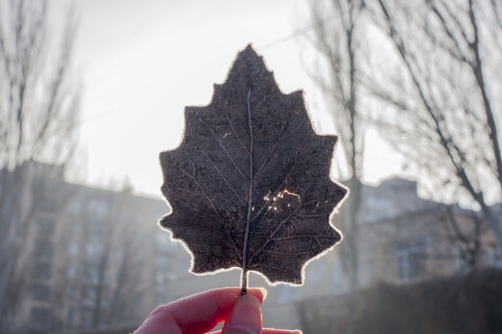 вдохновение