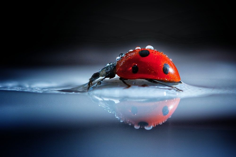 Photograph by Дарья Медведева