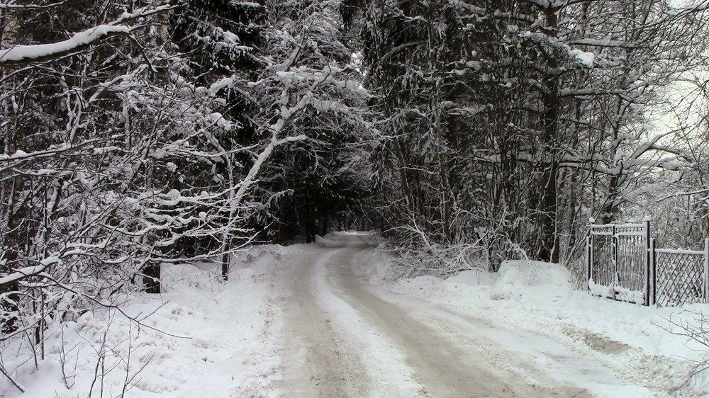 Зимняя дорога.