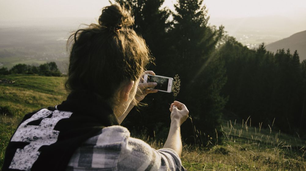 Вдохновение