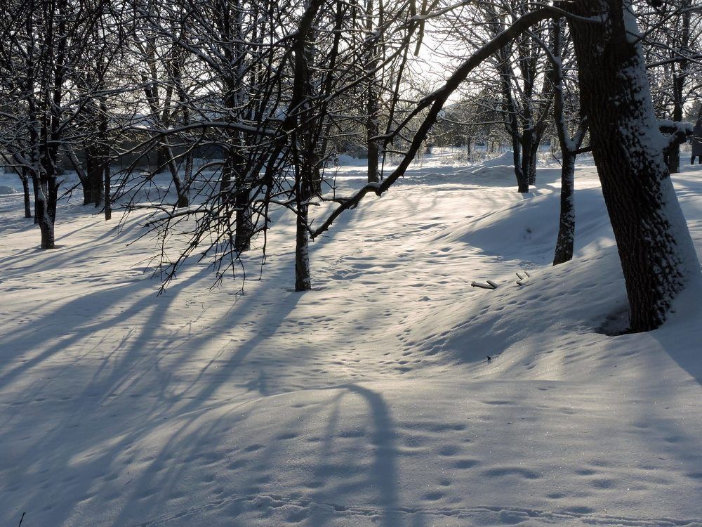 Вечер в парке