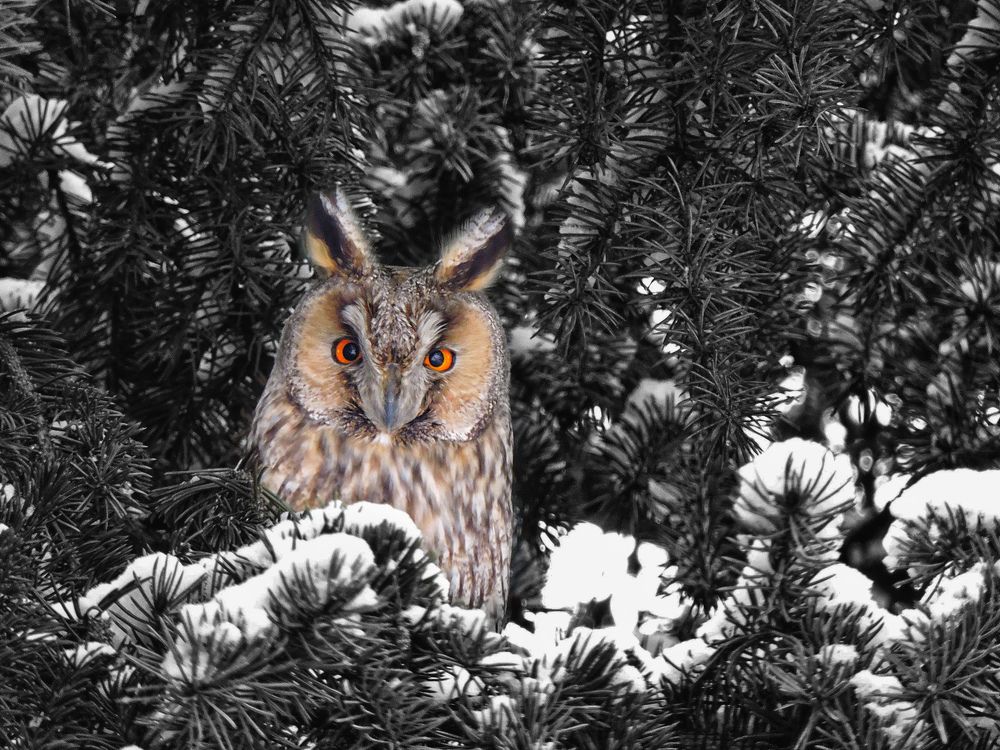 В ожидании ночи