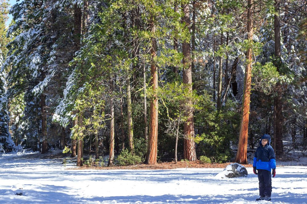 Photograph by Андрей Маркелов