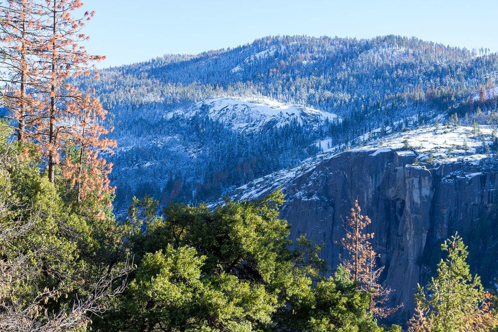 Photograph by Андрей Маркелов