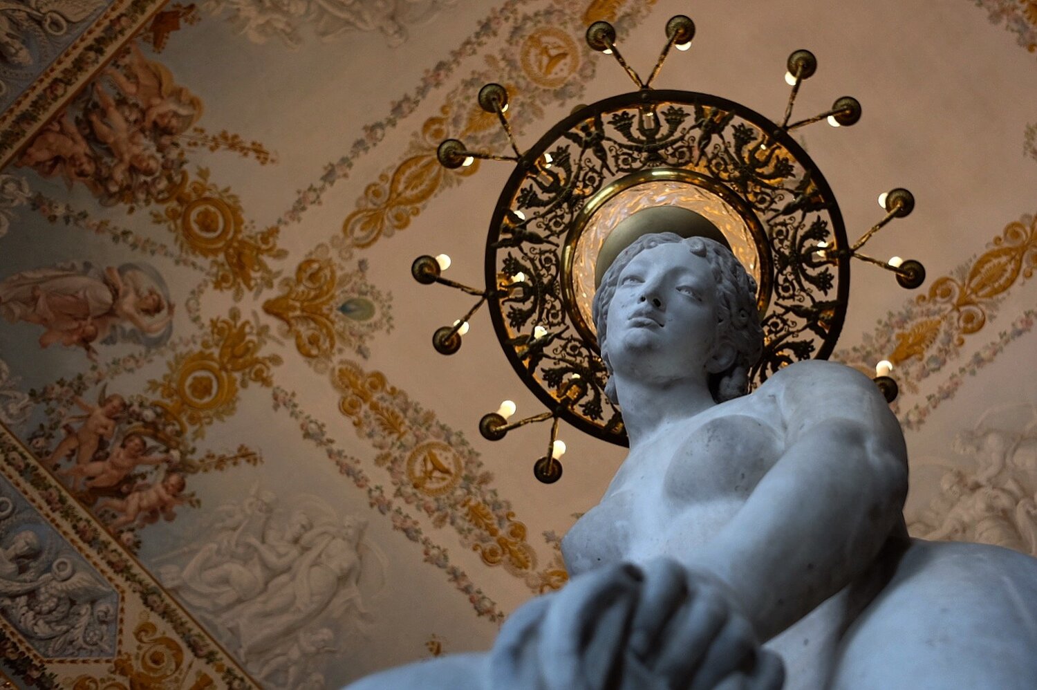 Photo #2887588