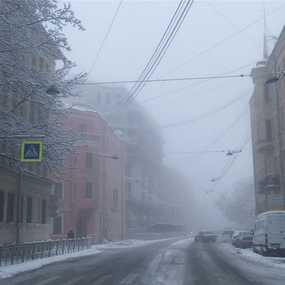 Photograph by Анна Леденёва
