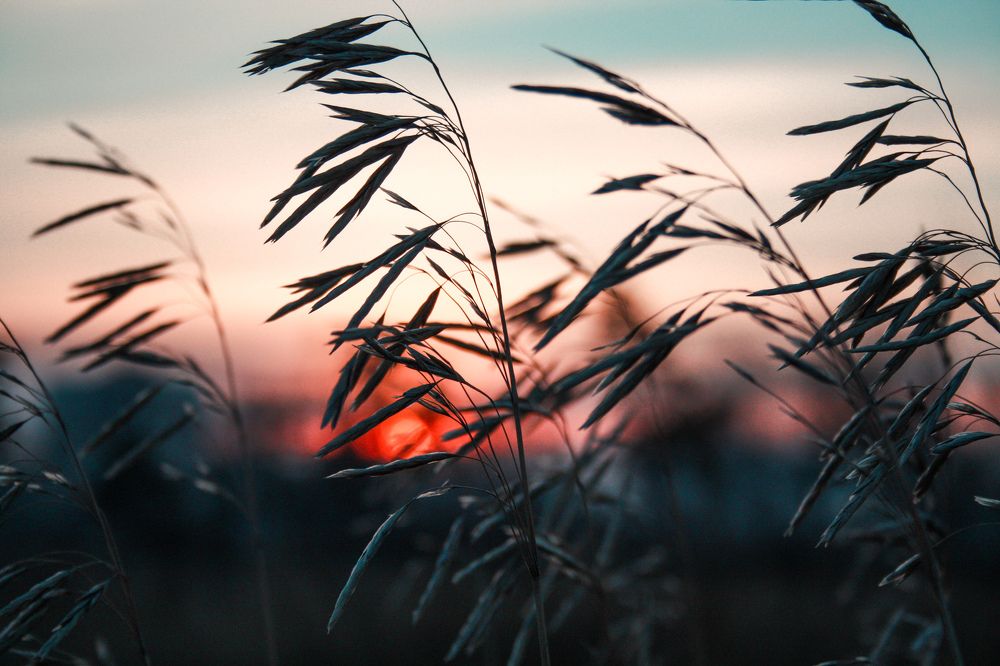 Photograph by Влад Богаткин