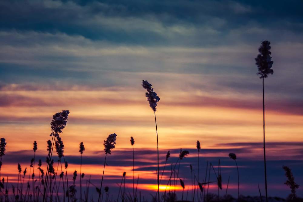 Photograph by Влад Богаткин