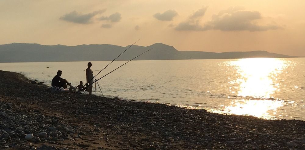 Photograph by АРТЕМ ШАТОВ