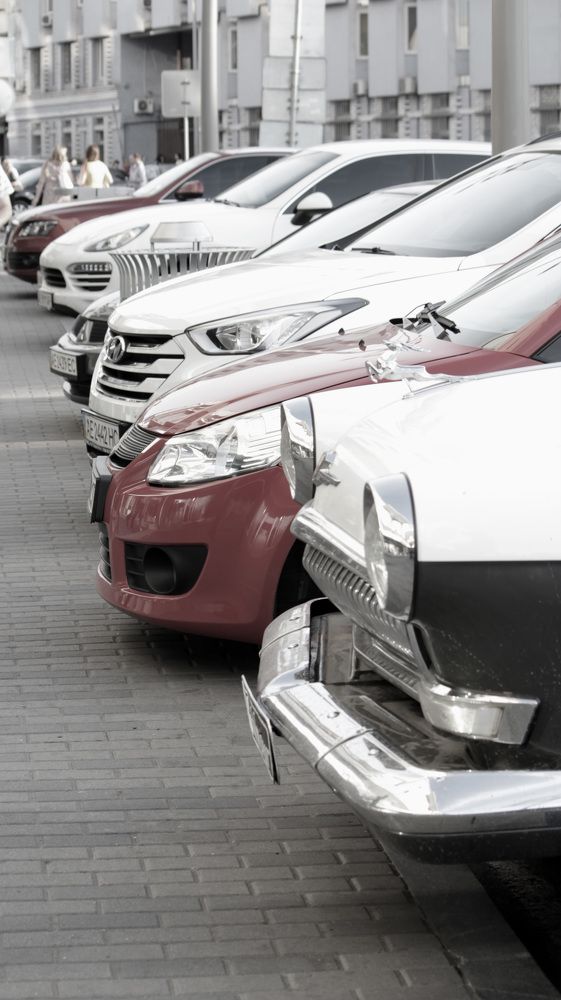 Photograph by Сергей Мордань