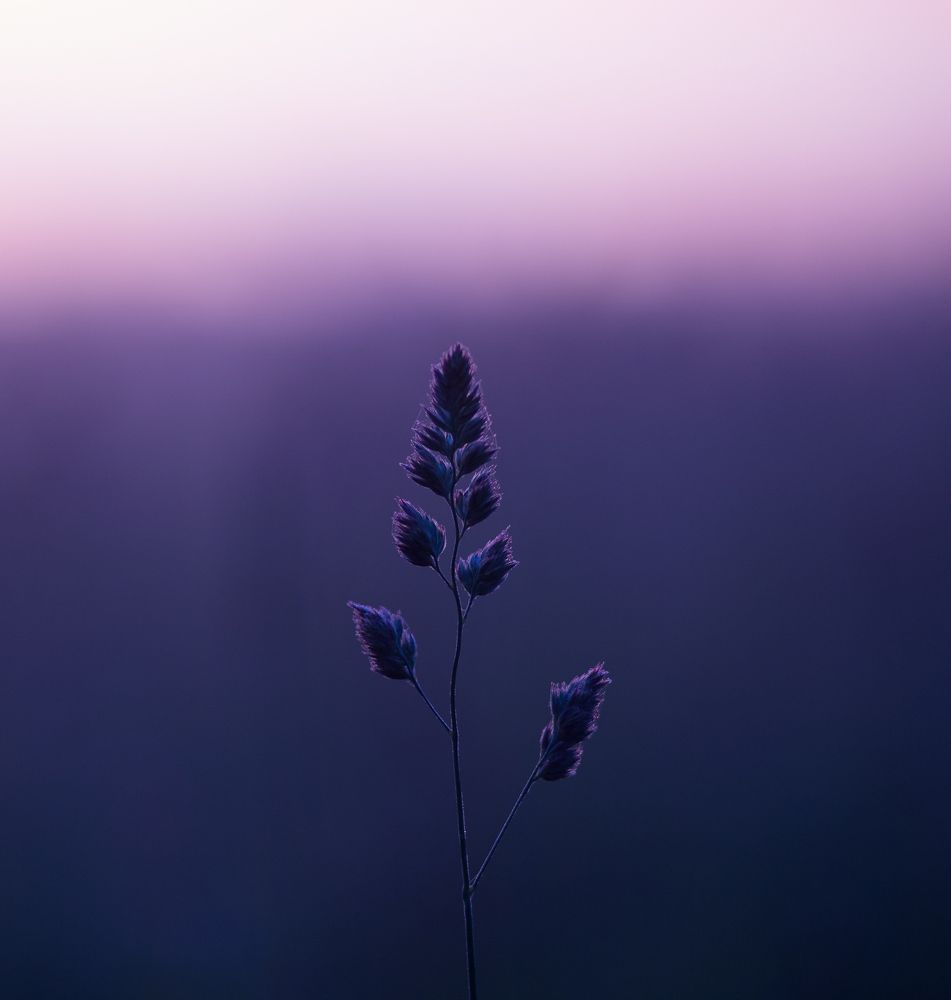 Photograph by Vyacheslav Boronin