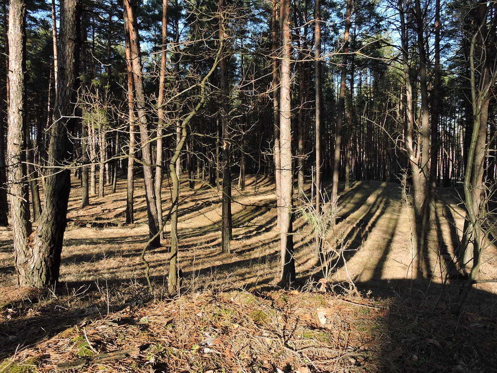 Photograph by Александр Захаров