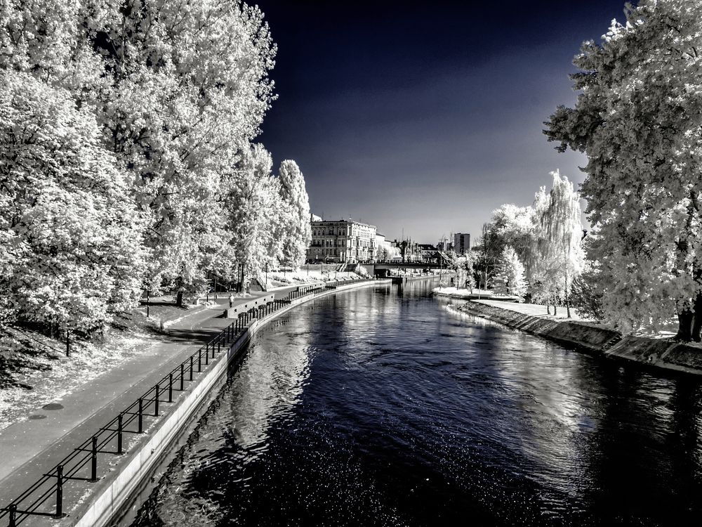 walking on the infrared