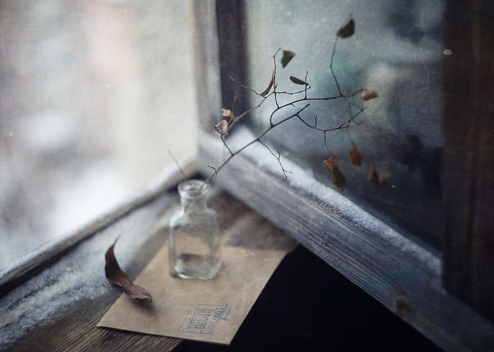 Вести с морей