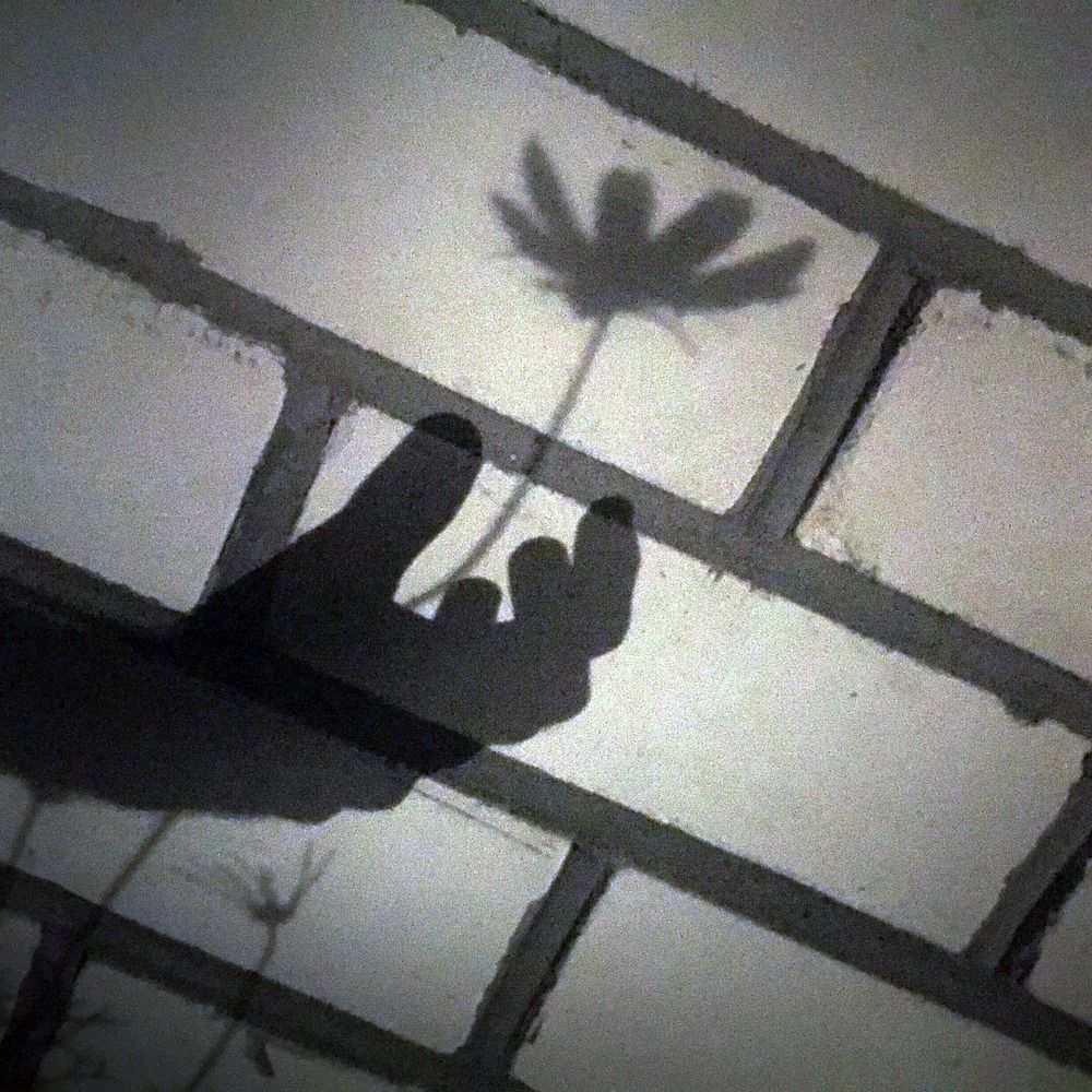 Я для тебя лишь тень на стене