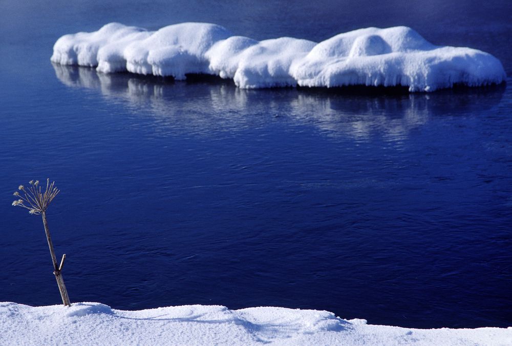 Серебряная зима.