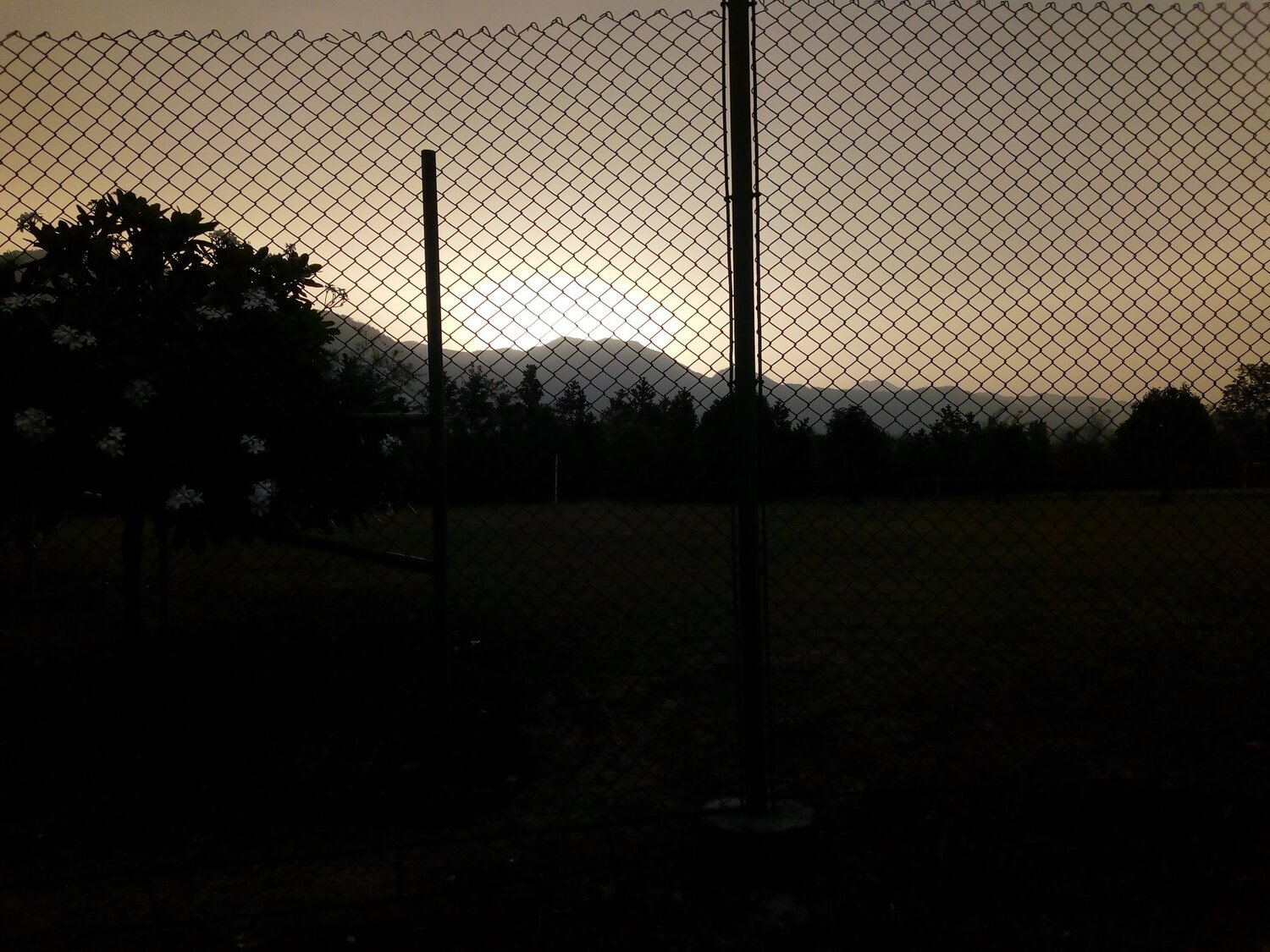 Fence