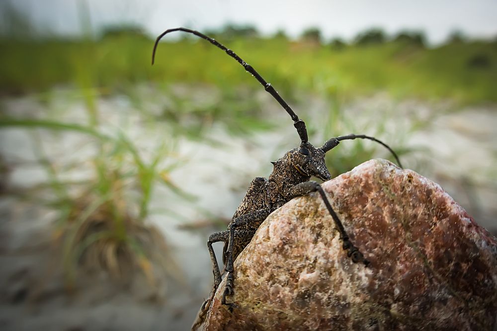 Преодоление.