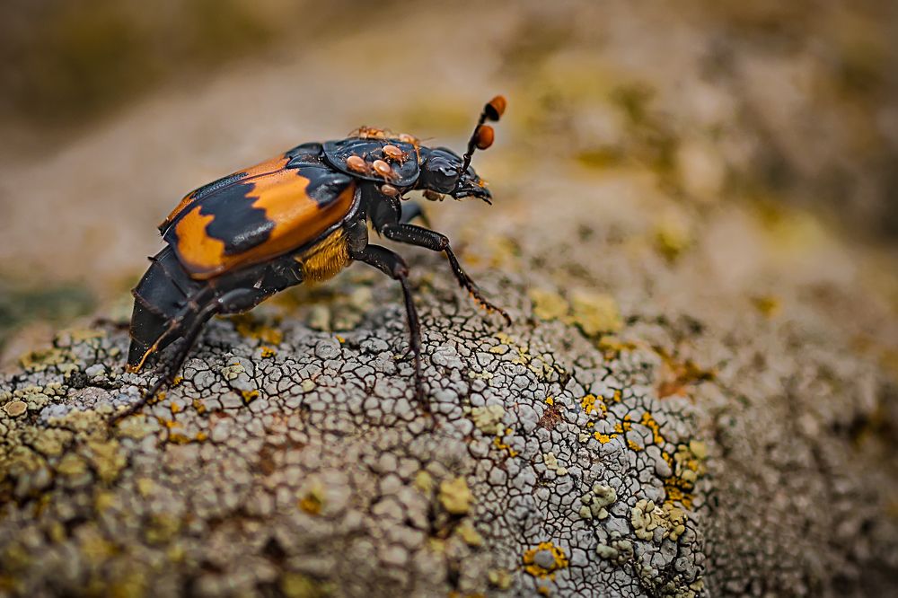 Детей не бросают.