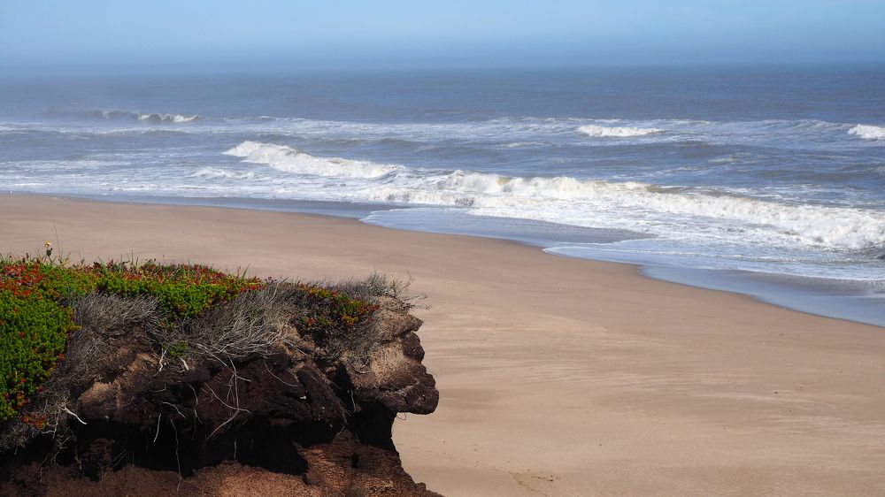 Сахалинский сфинкс
