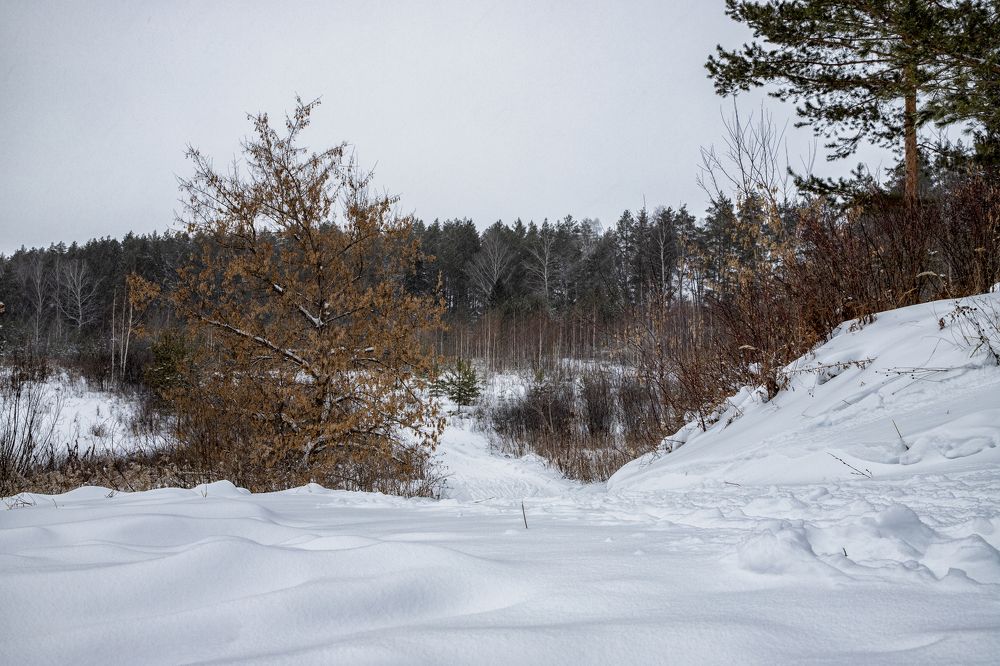 Контрастная русская зима