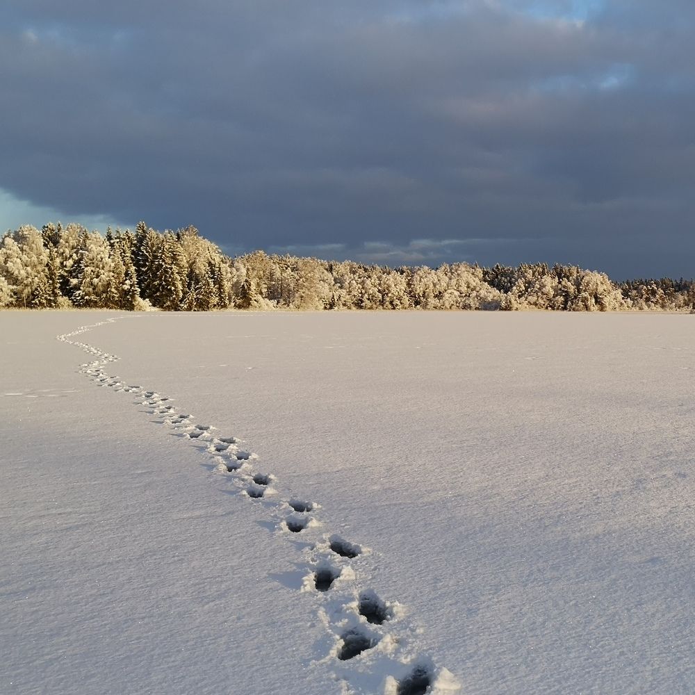 В одну сторону
