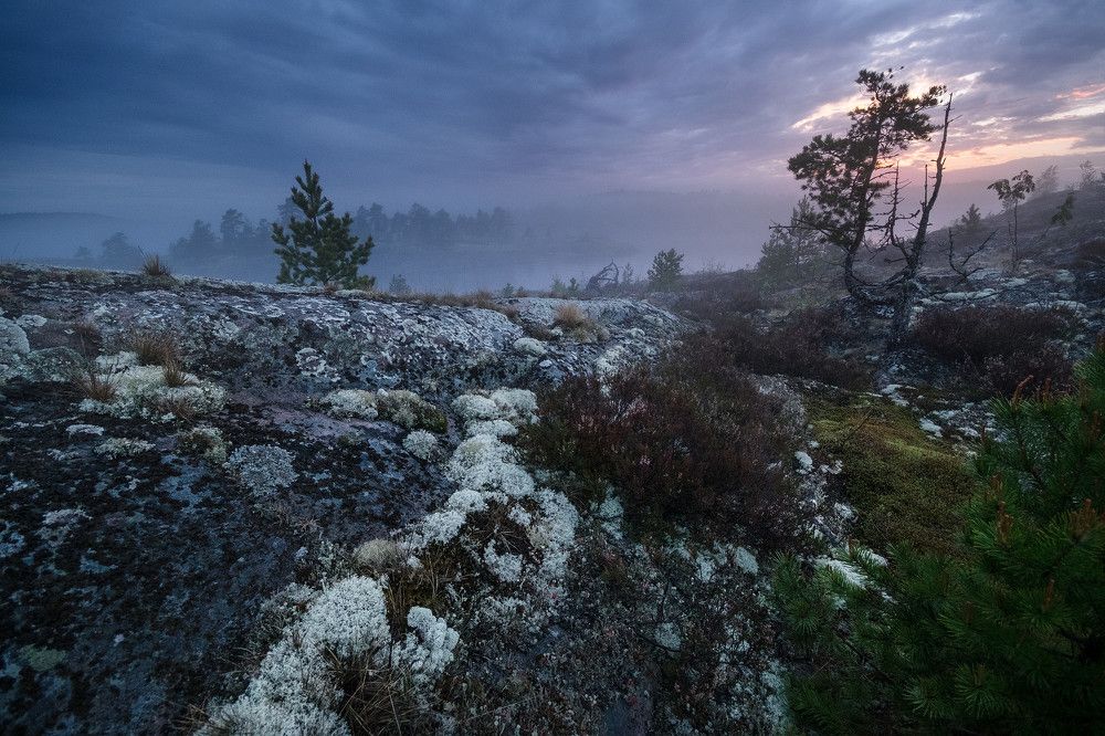 Белая ночь над Ладогой