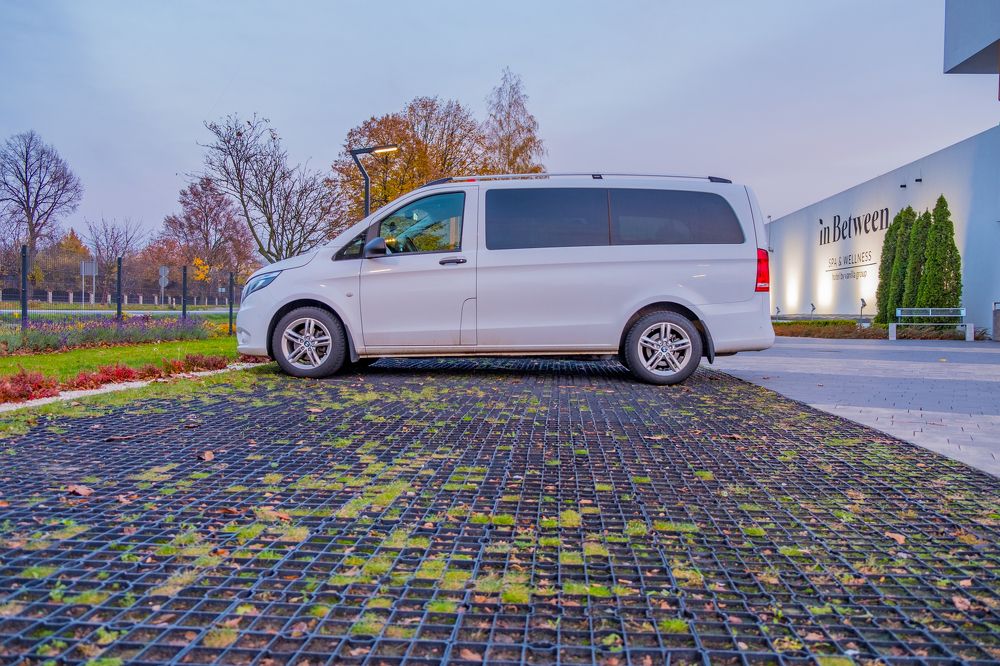 надёжный друг