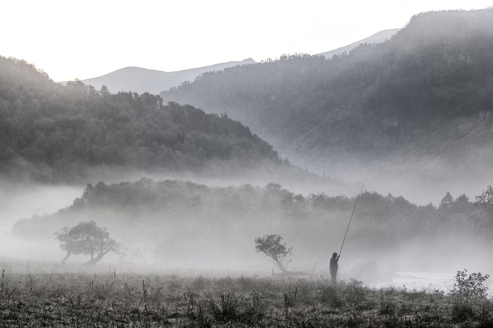 Форель на завтрак