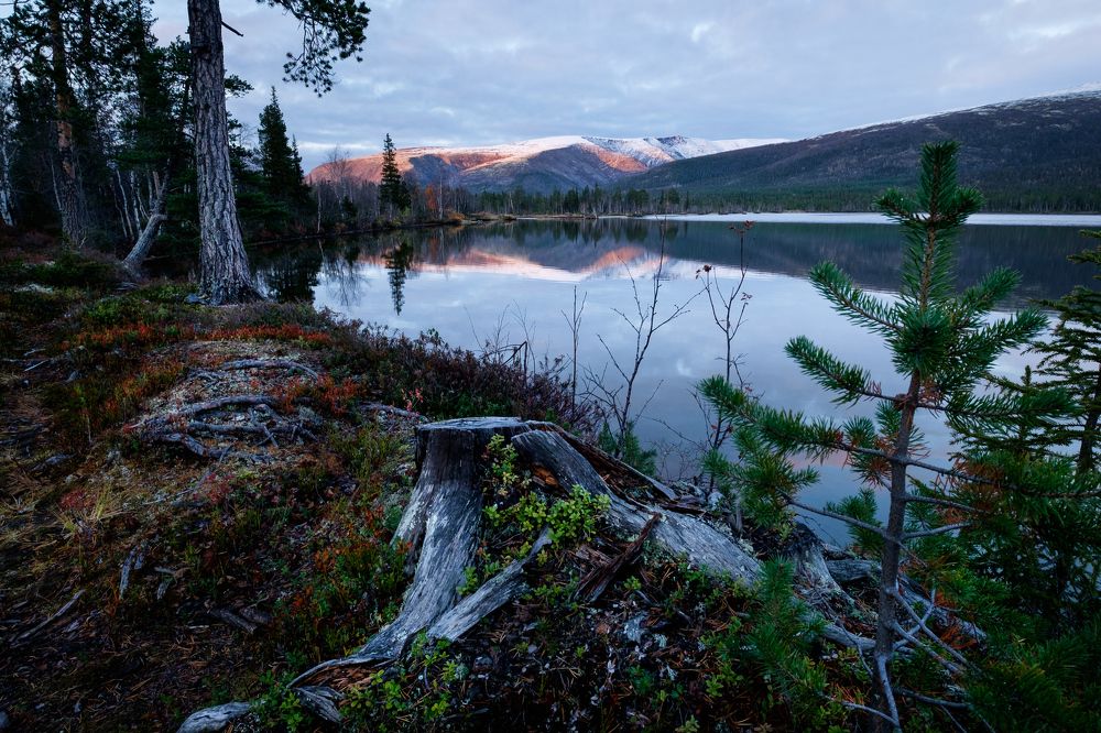 Природа Кольского полуострова