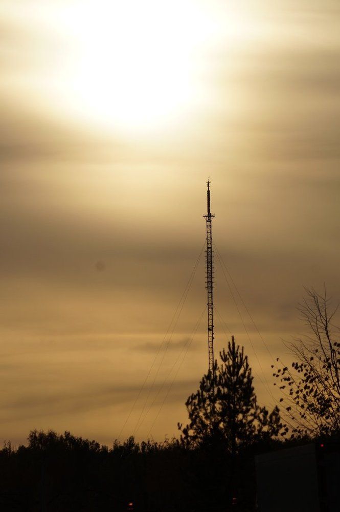 Photograph by Алёна Монахова