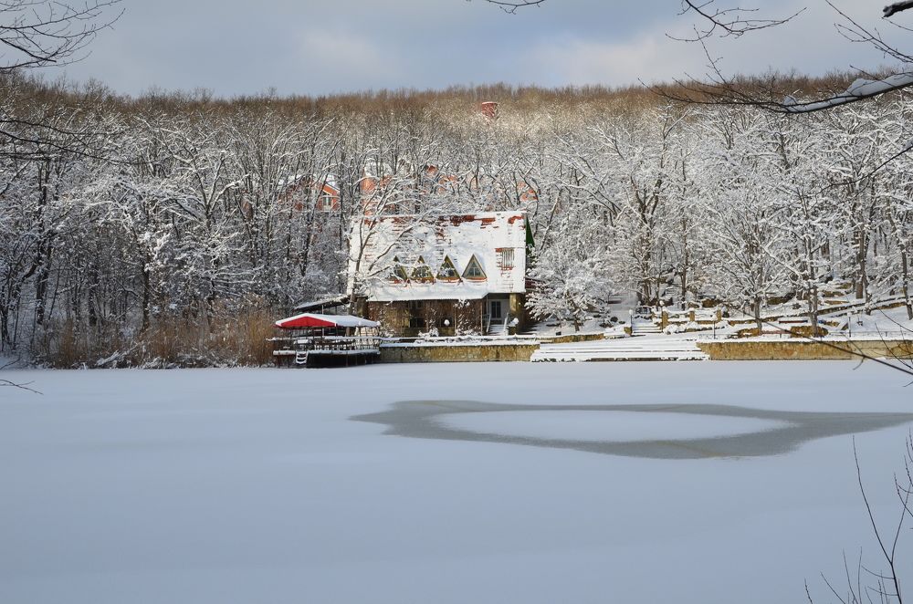 Лесное озеро.