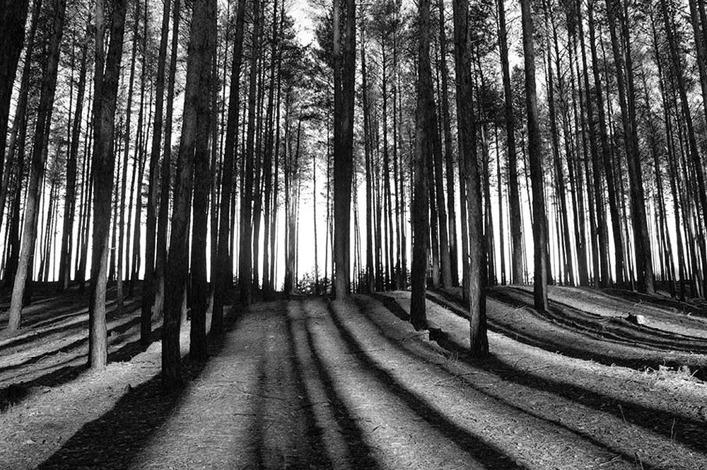 Photograph by Евгений Кулик