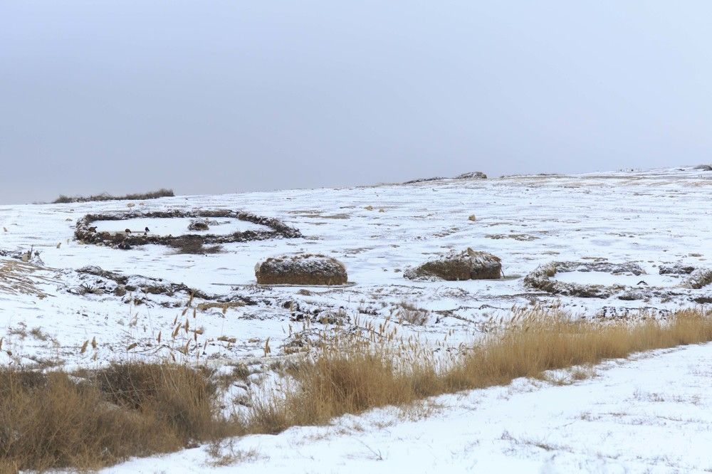 the shepherds in winter