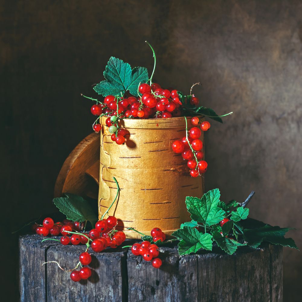 Фотография автора Елена Хазина