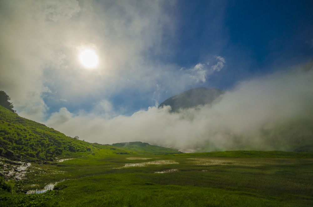 Туманное болото